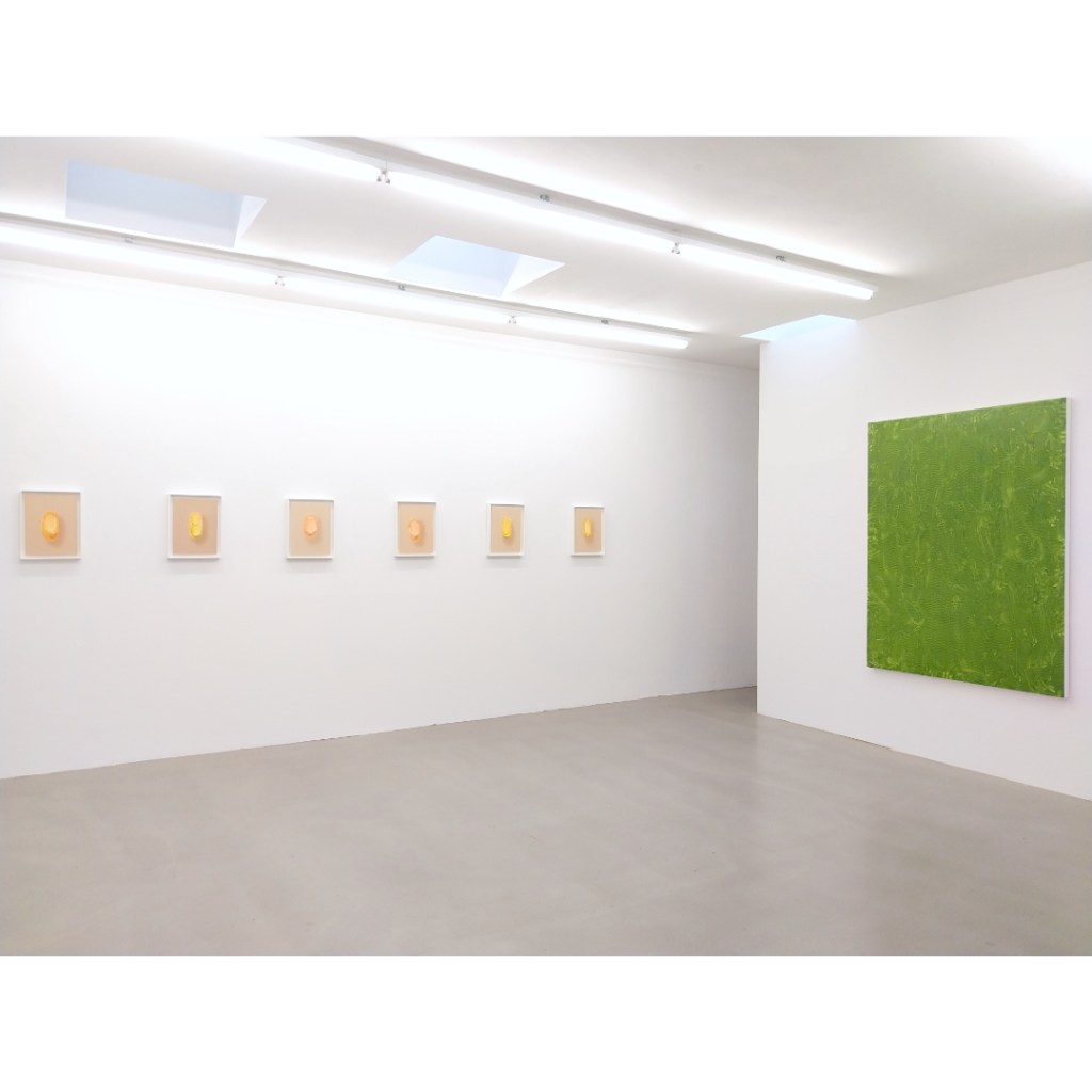 "Physiognomien" Galerie Pfab (2025)